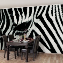 Zebra print - fototapet animale