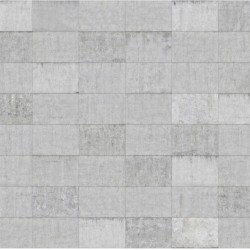 Zidul de beton - fototapet vlies