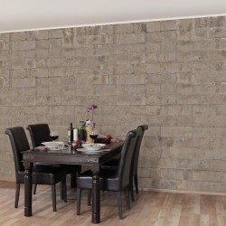 Zidul de beton maro - fototapet vlies