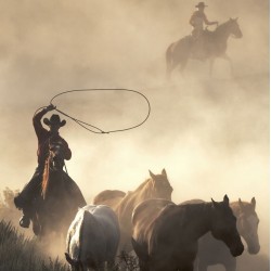 Cowboys - fototapet vlies