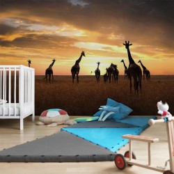 Familie de girafe - fototapet animale