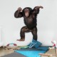 Maimuța amuzantă - fototapet animale