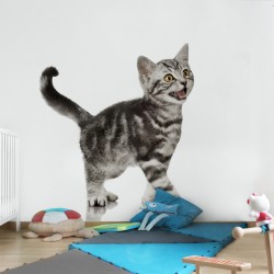 Pisicuța - fototapet animale