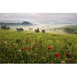 Primavară în Toscana - fototapet vlies